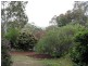 31 Jackson Avenue, Coromandel Valley SA 5051