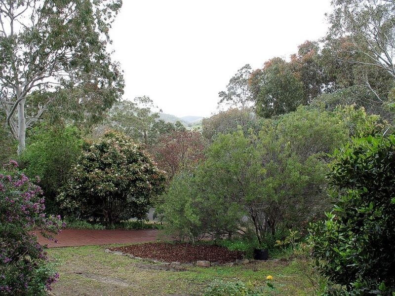 31 Jackson Avenue, Coromandel Valley SA 5051