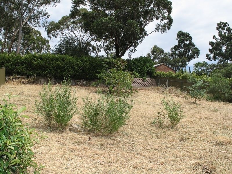 Lot 501 Banes Road, Coromandel Valley SA 5051