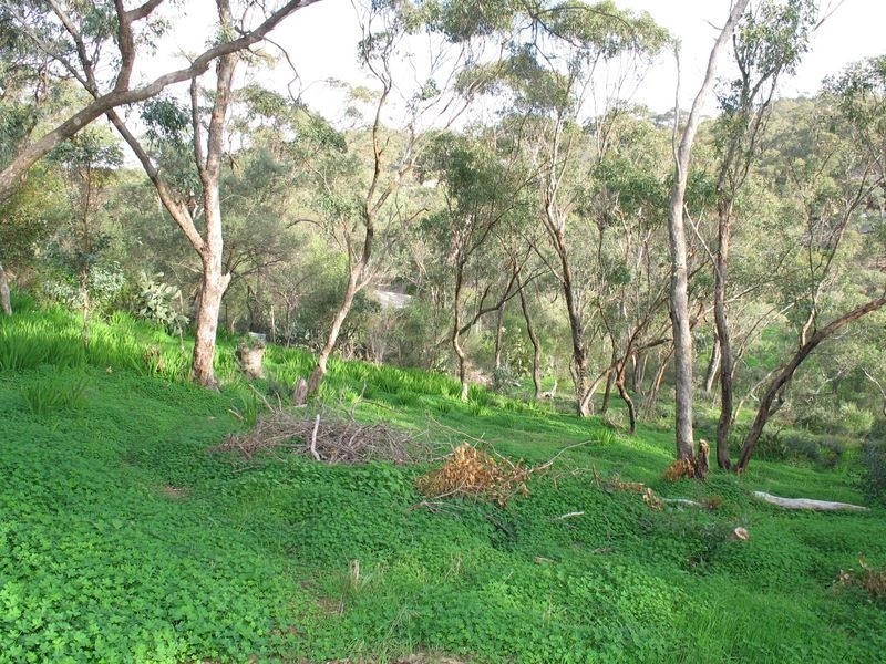 Lot 101 Euro Avenue, Eden Hills SA 5050