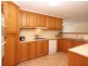 1 Michael Street, Coromandel Valley SA 5051
