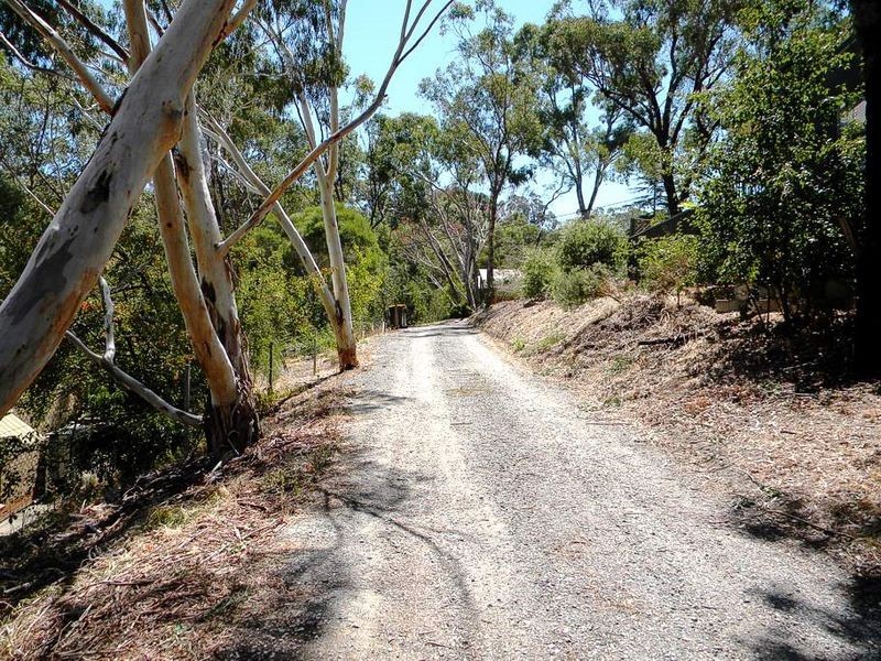 Lot 3 25 McNamara Road, Coromandel Valley SA 5051