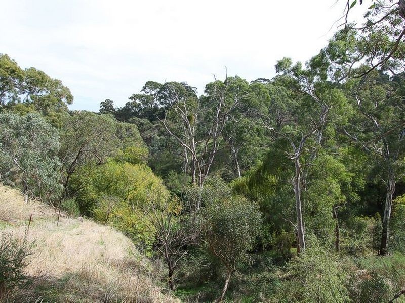 1 Rebecca Place, Flagstaff Hill SA 5159