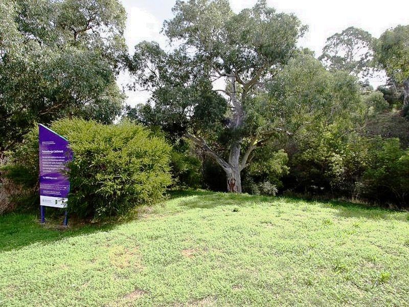1 Rebecca Place, Flagstaff Hill SA 5159