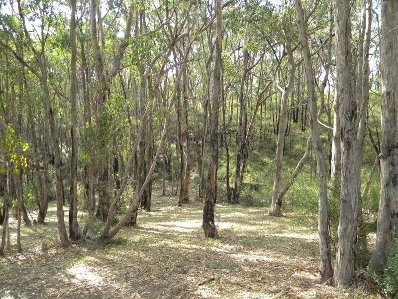 19 Nioka Drive, Ironbank SA 5153