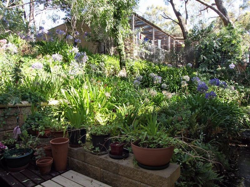 21 Ashmore Road, Bellevue Heights SA 5050