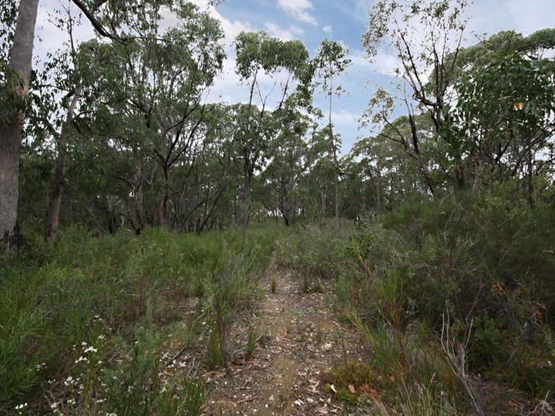 19 Nioka Drive, Ironbank SA 5153