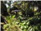 249A Shepherds Hill Road, Eden Hills SA 5050