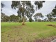 3/60 Waterman Tce, Mitchell Park SA 5043