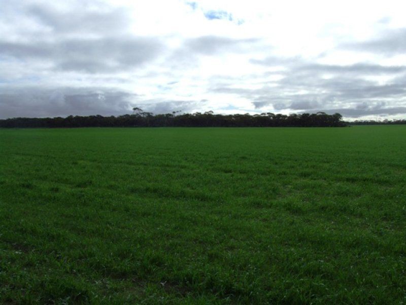 Lot 100 Brinkley Road, Murray Bridge SA 5253