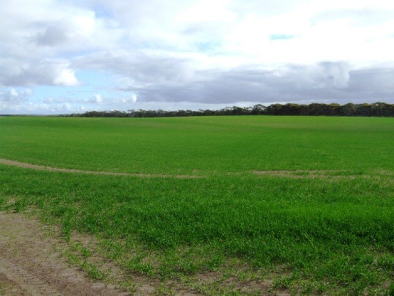 Lot 100 Brinkley Road, Murray Bridge SA 5253