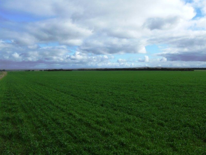 Lot 103 Brinkley Road, Murray Bridge SA 5253