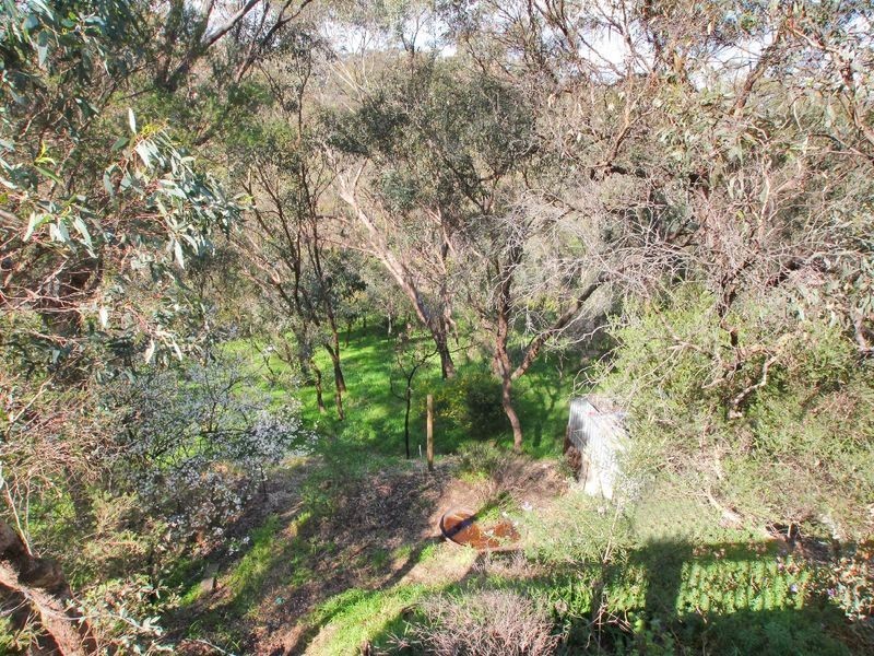 9 Ardrossan Avenue, Belair SA 5052