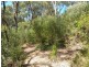 30 Chitunga Road, Eden Hills SA 5050