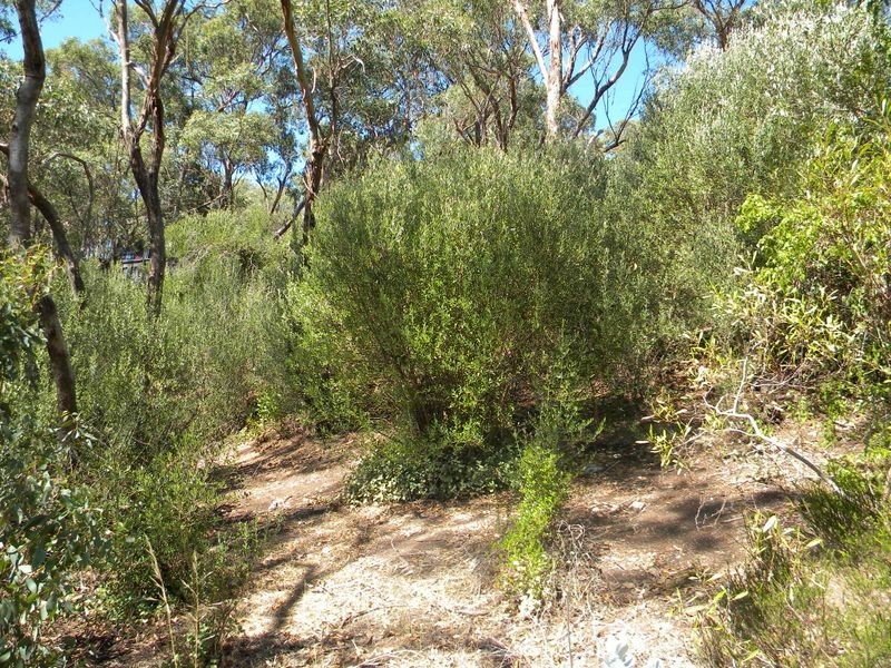 30 Chitunga Road, Eden Hills SA 5050