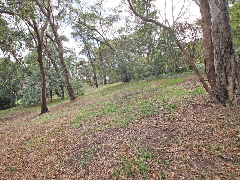 5 Winding Way, Belair SA 5052