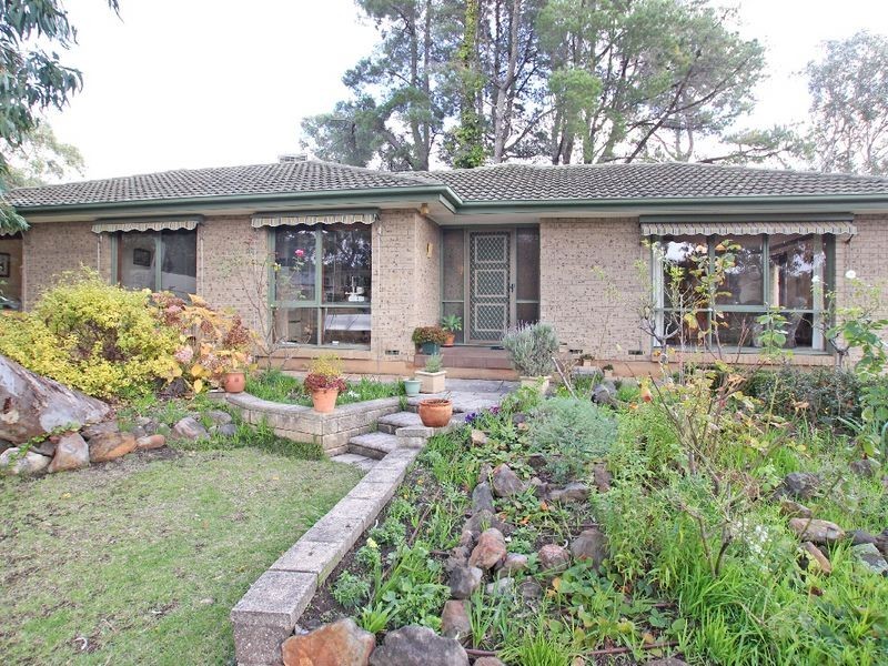 10 Shannon Crescent, Coromandel Valley SA 5051