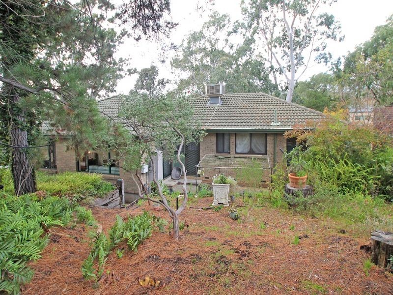 10 Shannon Crescent, Coromandel Valley SA 5051