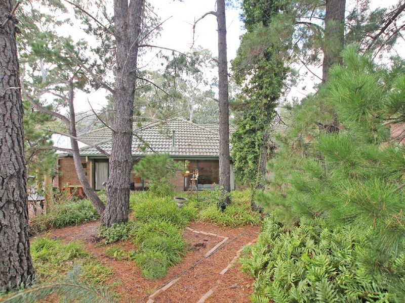 10 Shannon Crescent, Coromandel Valley SA 5051