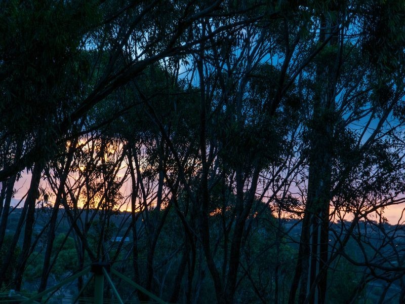 5 Federation Court, Bellevue Heights SA 5050