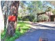 234 Coromandel Parade, Coromandel Valley SA 5051