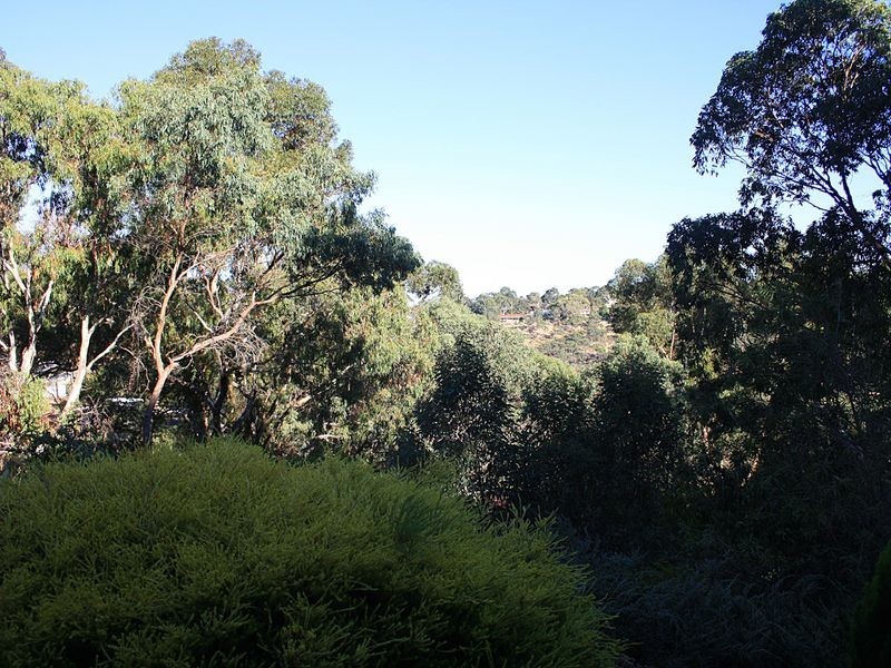 16a Hannaford Road, Blackwood SA 5051