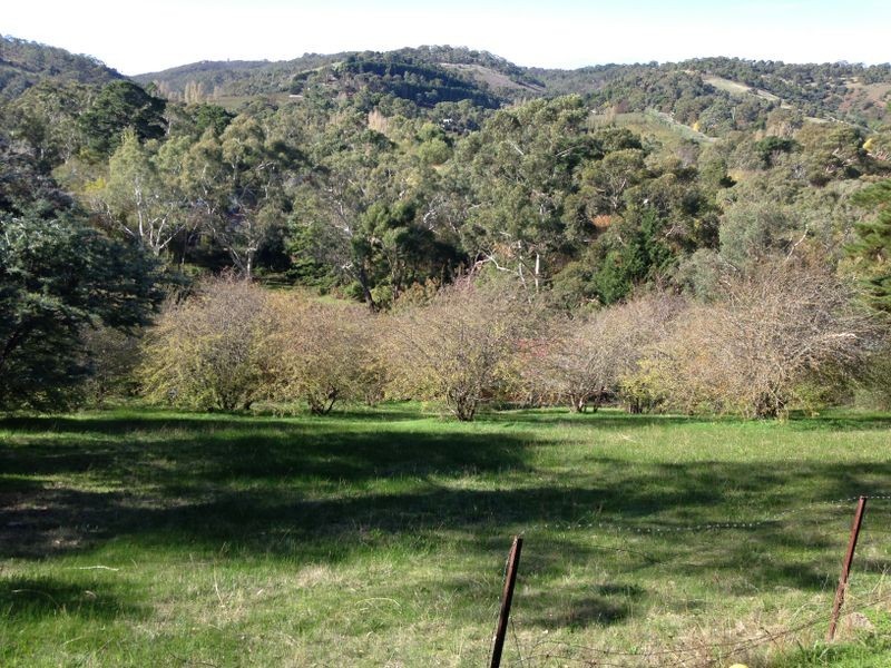 15 Devon Drive, Coromandel Valley SA 5051