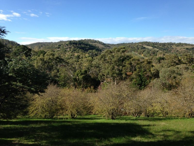 15 Devon Drive, Coromandel Valley SA 5051