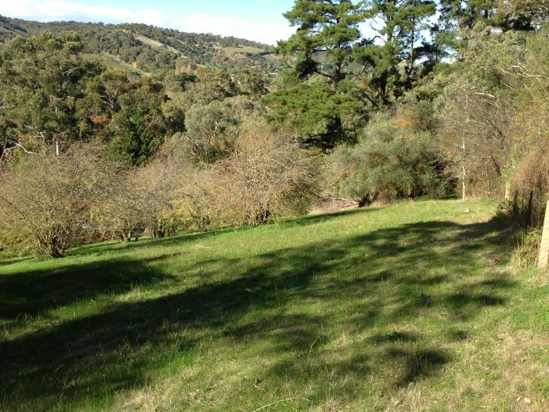 15 Devon Drive, Coromandel Valley SA 5051
