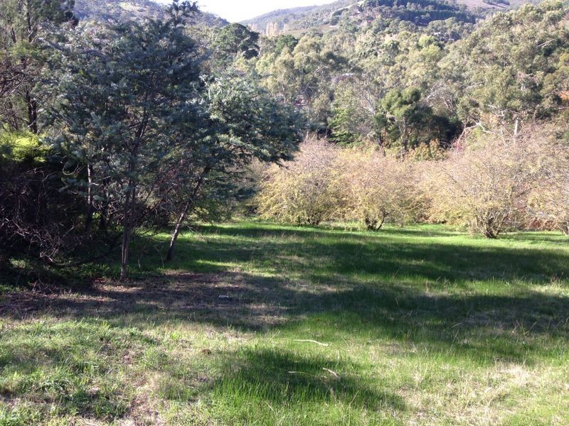 15 Devon Drive, Coromandel Valley SA 5051
