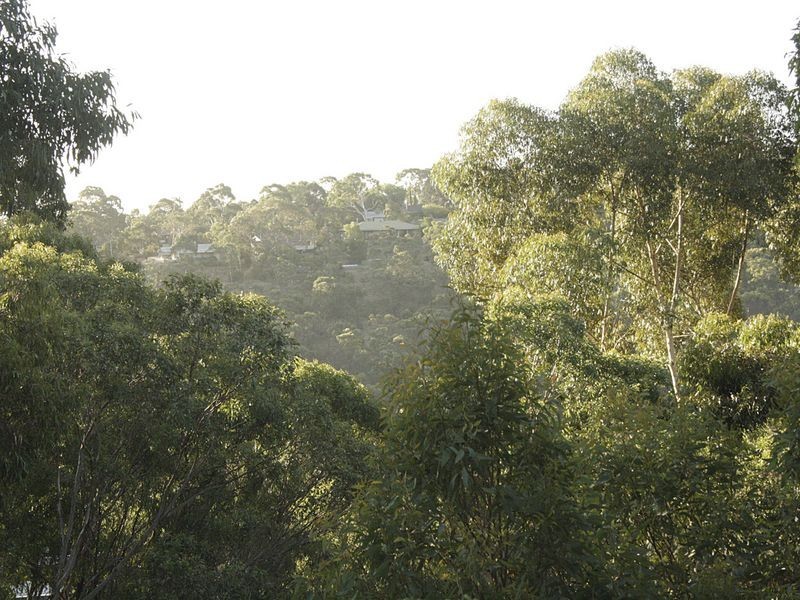 16a Hannaford Road, Blackwood SA 5051