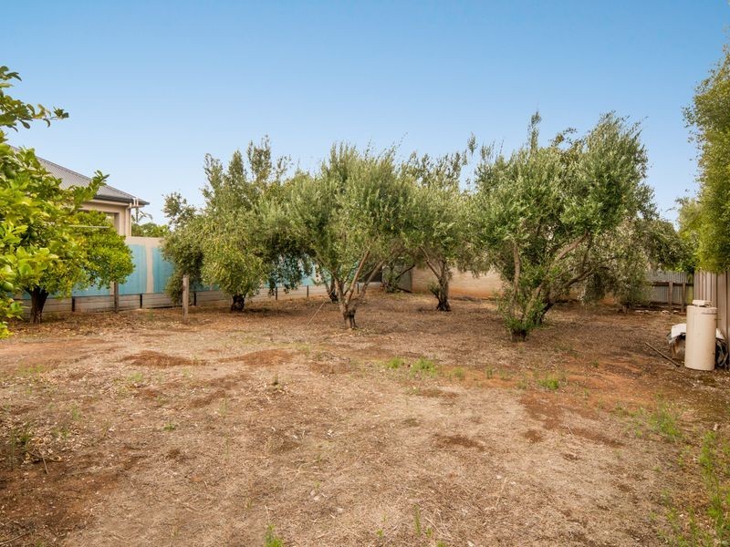 42 William Street, Clarence Park SA 5034