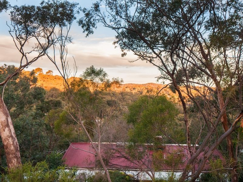 11 Peppermint Avenue, Belair SA 5052