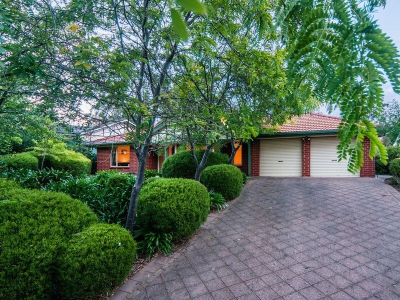 20 Turners Avenue, Coromandel Valley SA 5051