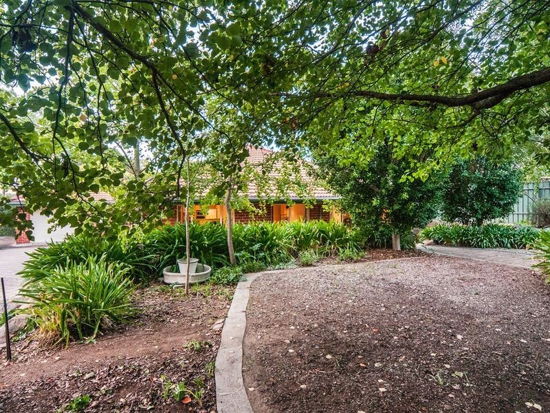 20 Turners Avenue, Coromandel Valley SA 5051