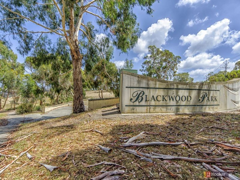 66 Bonython Way, Craigburn Farm SA 5051