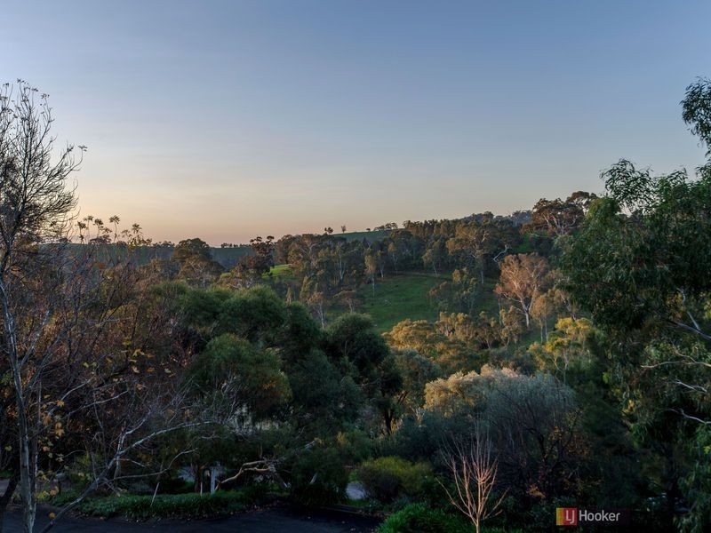 8 Horsell Road, Belair SA 5052