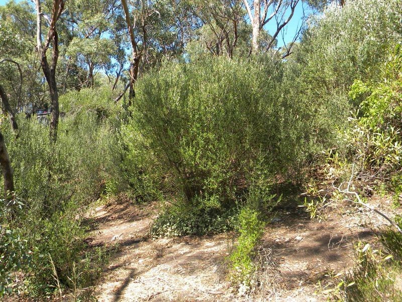 30 Chitunga Road, Eden Hills SA 5050