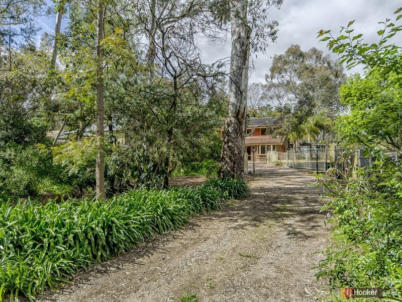 4 Maple Road, Hawthorndene SA 5051