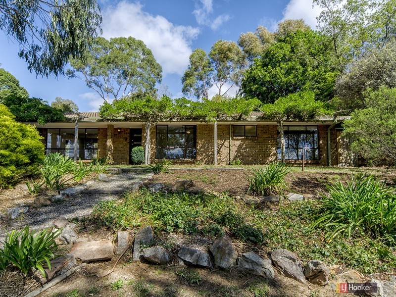 10 Goldsack Avenue, Coromandel Valley SA 5051