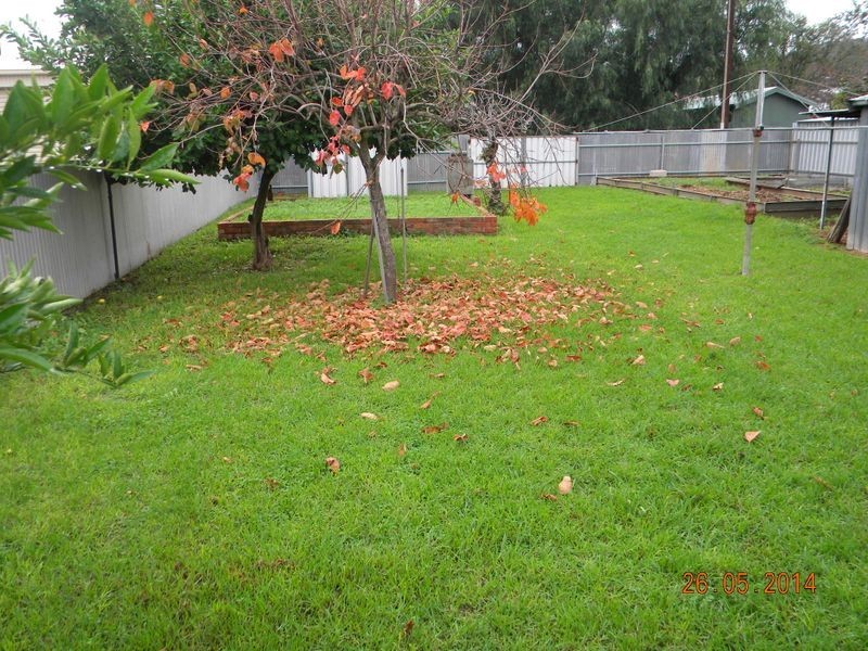 567 Goodwood Road, Colonel Light Gardens SA 5041