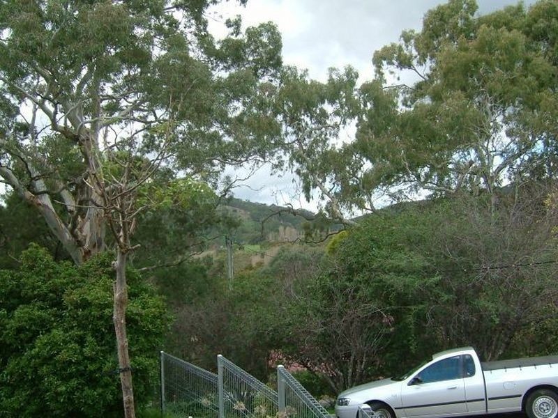 36 Winns Road, Coromandel Valley SA 5051