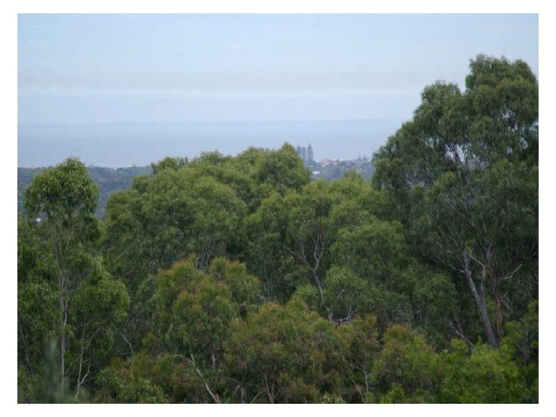 4 Deepdene Avenue, Bellevue Heights SA 5050