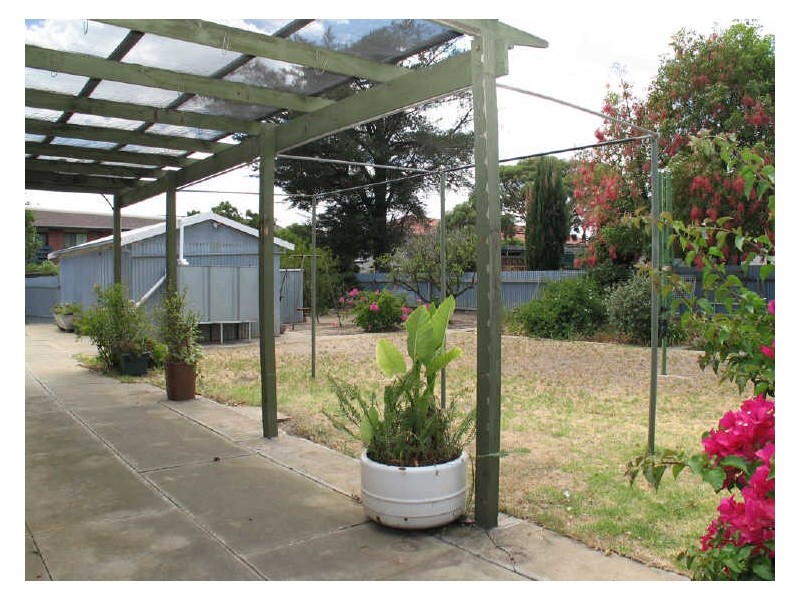 25 Curzon Street, Camden Park SA 5038