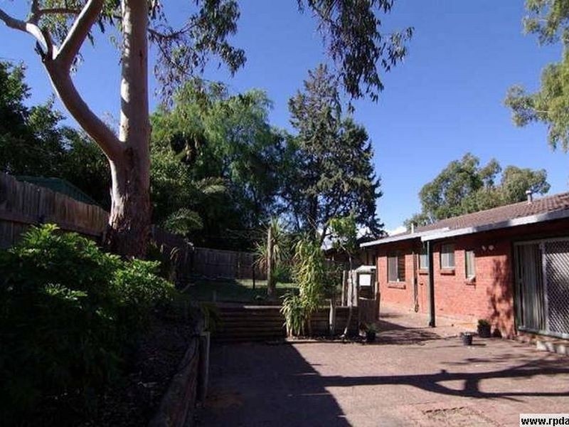 16 Durham Place, Flagstaff Hill SA 5159