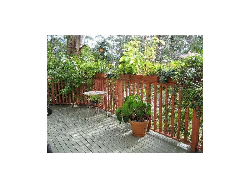 6A Woolcott Avenue, Wahroonga NSW 2076