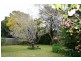 62 The Chase Road, Turramurra NSW 2074