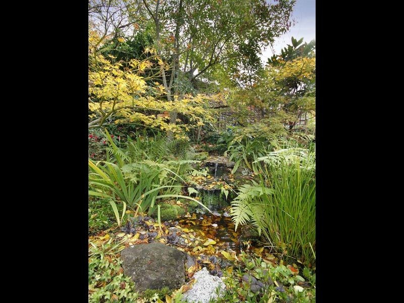 293 Mona Vale Road, St Ives NSW 2075