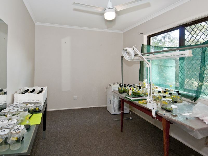 6 Donegal Ct, Eagleby QLD 4207