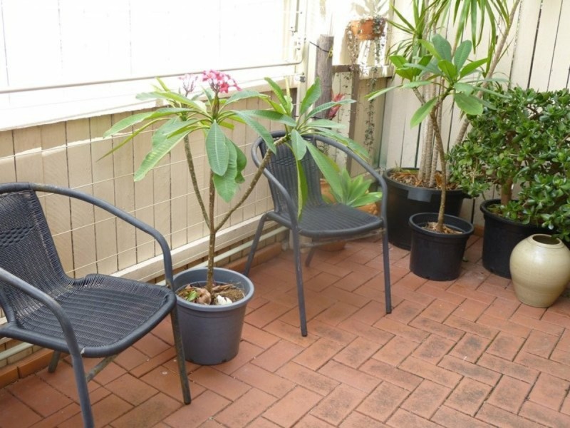 11/90 Milne Street, Mount Warren Park QLD 4207